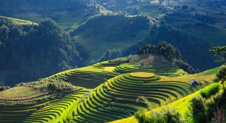 Best Time To Visit Vietnam