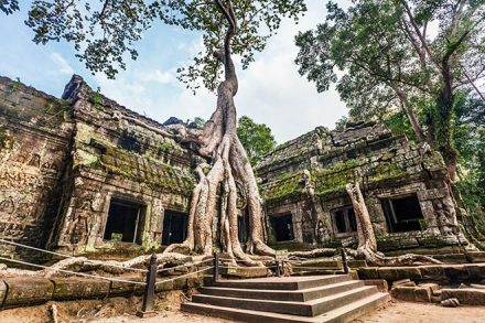 cambodia Ta Prohm Temple
