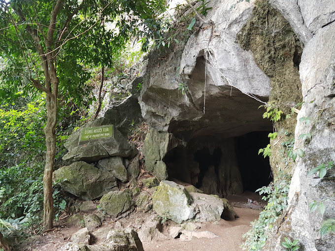 Highlights Of Cuc Phuong National Park In Ninh Binh Travel Sense Asia