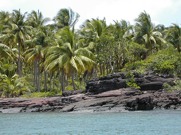 coconut islet mekong delta