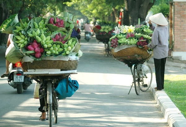 What To Know About Vietnam Rainy Season?