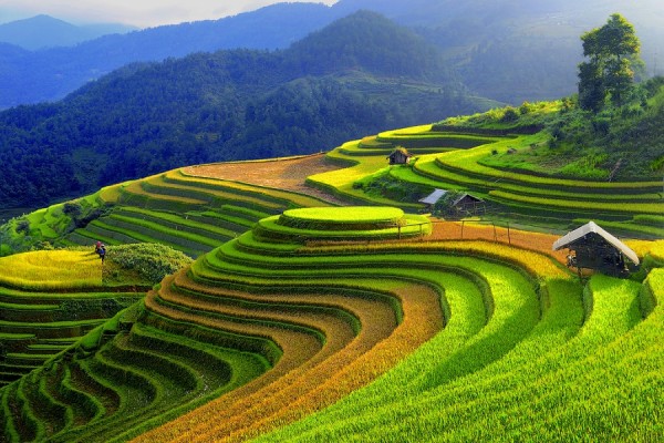 Spending 3 Days And 2 Nights In Hanoi Sapa Tour Travel Sense Asia