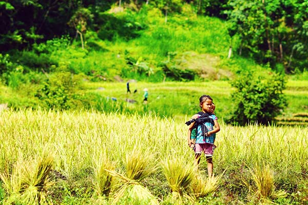 Trekking Tour in Hoang Su Phi (3)