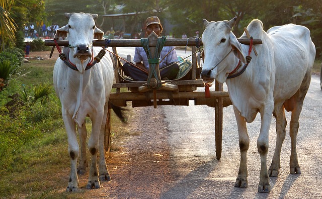 cambodia off the beaten track second visit kep 