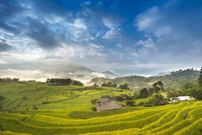 rice terraces