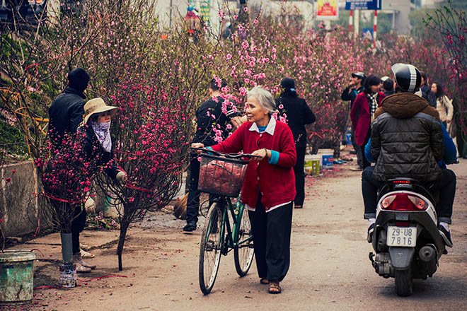 quang ba flower market tet holiday