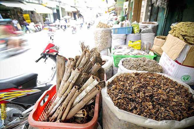 hai thuong lan ong street vietnamese traditional medicine