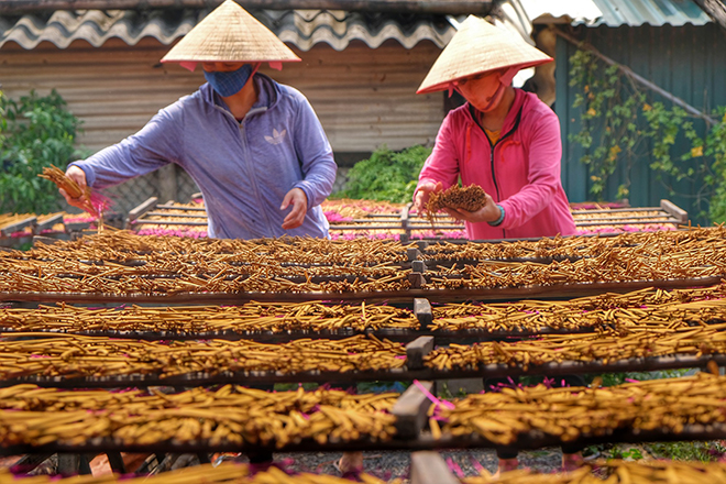 Quang Phu Cau Incense Making hanoi traditional villages