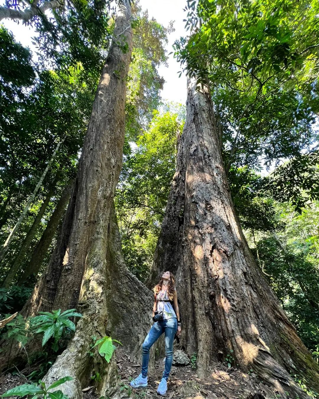 Highlights Of Cuc Phuong National Park In Ninh Binh | Travel Sense Asia ...